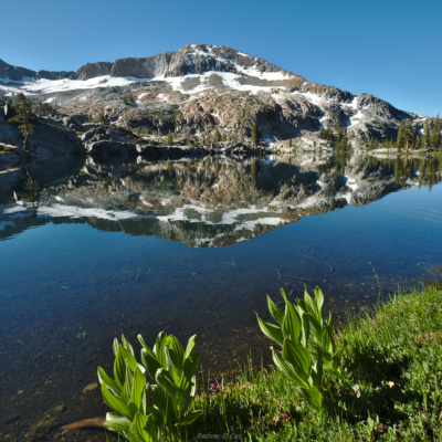 Harsh, bright morning sunlight and crystal clear water at Lower Ottoway Lake