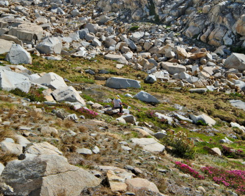 Dad refills his water bottle from the fresh snow melt below Red Peak Pass red peak pass meadow stream
