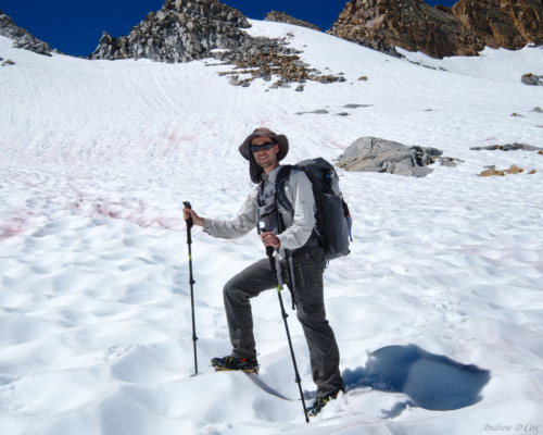 While the crampons are incredibly helpful, I cannot overstate how useful trekking poles are to keep your balance on the snow. snow travel traction devices