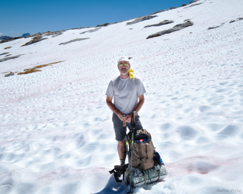 You would think that a snow-covered landscape would be a cold place to be, but it was really quite warm; we both got a little sunburned! snow sun bright