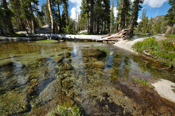 Calm, clear, inviting water triple peak fork merced yosemite