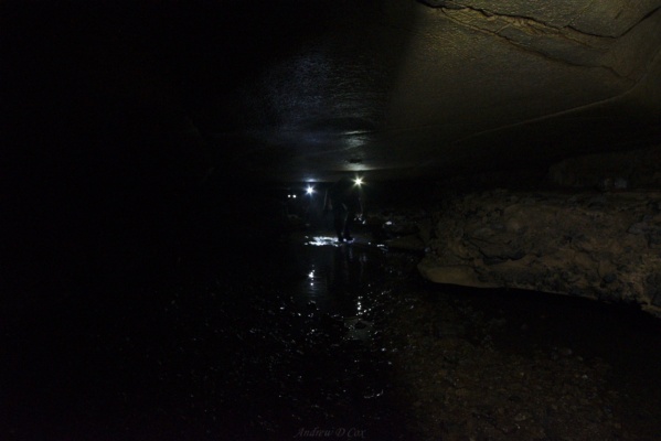 Several group members clamber through puddles in the low passageway doghill-donnehue cave