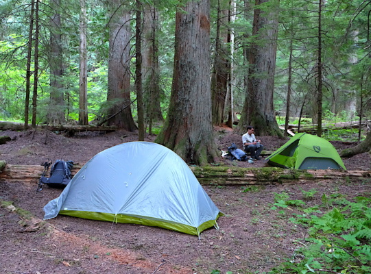 The Cedar Swamp campsite is not at all swampy, thank goodness! Photo by Diane. mark o hatfield wilderness cedar swamp camp