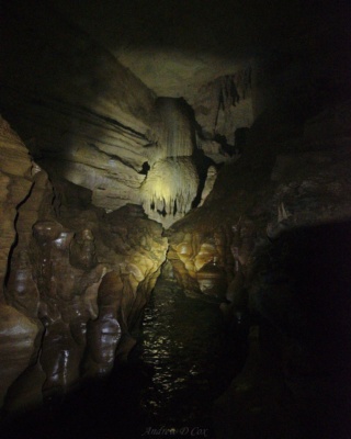 A beautiful flowstone formation above a watery passageway doghill-donnehue cave flowstone