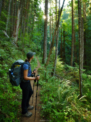 Diane admires the morning sunlight as it streams through the canopy mark o hatfield wilderness forest sunrise rays