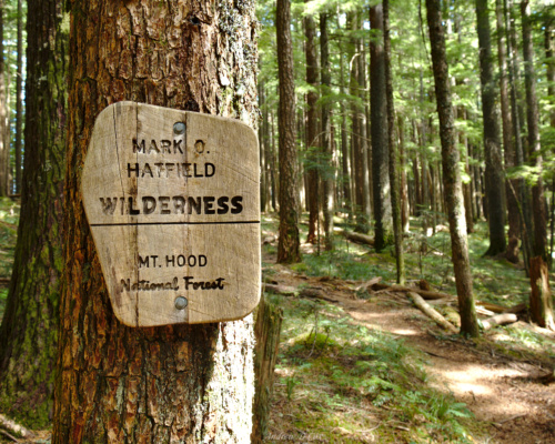 Entering the wilderness! mark o hatfield wilderness