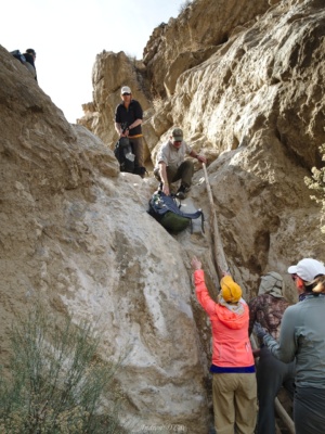 A short rock face, termed a "dryfall" on the map, adds an element of rock climbing to the otherwise gentle walk down Deadhorse Canyon death valley deadhorse canyon dryfall