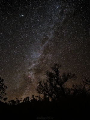Although the galactic core is far below the horizon at this time of year in the Northern Hemisphere, the Milky Way is still a gorgeous subject for night photography. death valley milky way astrophotography