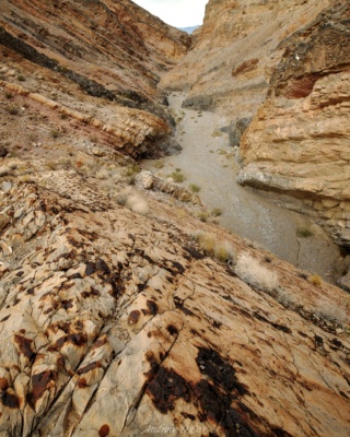 The lichen on the red stone looks just like the desert camouflage on military uniforms. death valley stone lichen