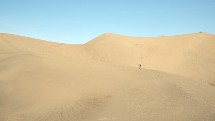 Some of the dunes are quite large! In the center of the frame, Aileen is walking along the sandy ridgeline toward one of the peaks. death valley mesquite sand dunes