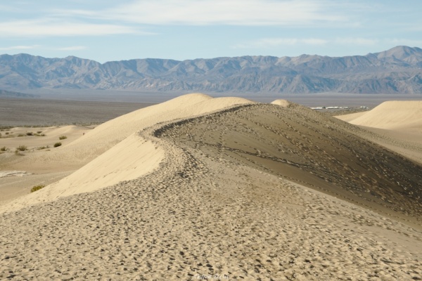 The dunes are a popular tourist spot and the sand is covered in footprints death valely mesquite sand dunes