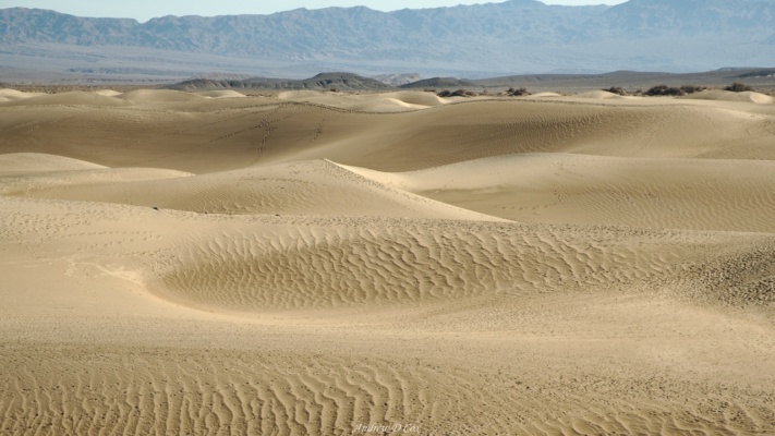 The Mesquite Sand Dunes in the foreground and the Funeral Mountains in the background