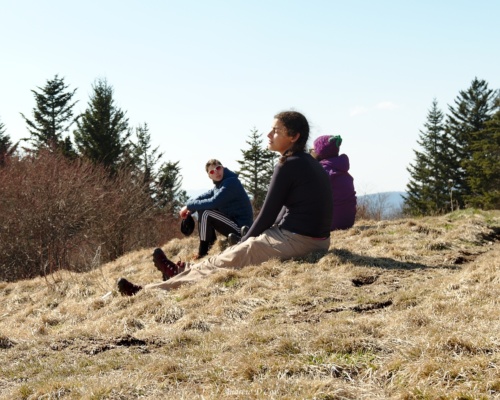 Lulu soaks up the sun at Andrews Bald smoky mountains andrews bald