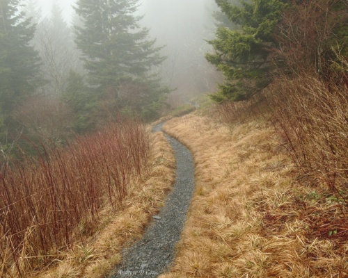 The Appalachian Trail winds along the ridge smoky mountains appalachian trail