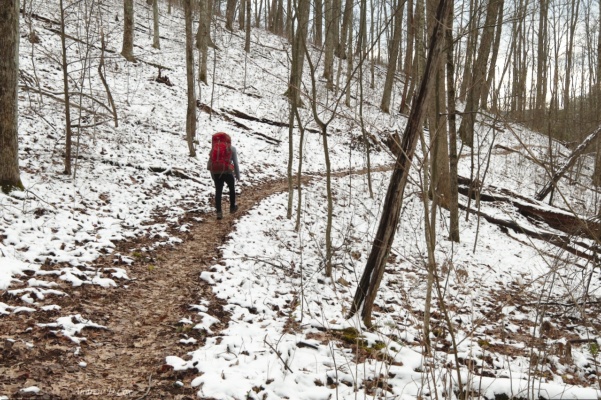 Greg walks along the trail through the snowy landscape. smoky mountains huskey gap trail