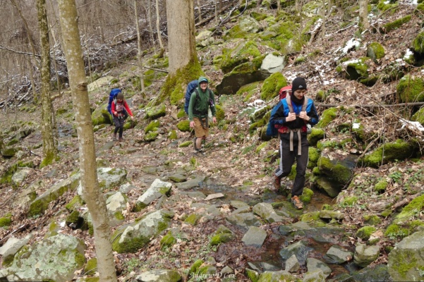 McKenzie, Ashley, and Tibor make their way up the Huskey Gap Trail smoky mountains huskey gap trail