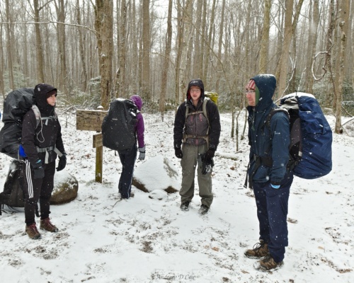 McKenzie, Yi-Chun, Greg, and Ashley regroup at a trail junction while the rest of us catch up. smoky mountains winter backpacking