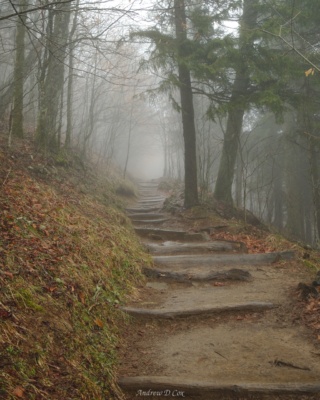 The Appalachian trail disappears into fog at the Newfound Gap trailhead smoky mountains appalachian trail fog