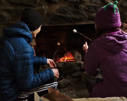 Tibor and Yi-Chun roast marshmallows over a fire at the Kephart shelter