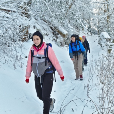 It's absolutely beautiful out this morning! smoky mountains winter backpacking