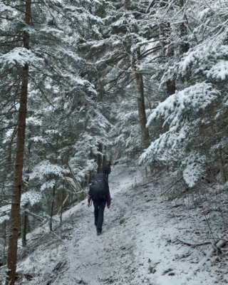 The trail continues to wind upward, through snow-covered pines. We joke that we've entered the eternal Narnia winter wonderland.