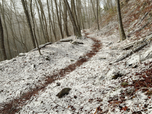The Sweat Heifer Creek Trail winds through the snow-covered hillside. smoky mountains backpacking trail snow