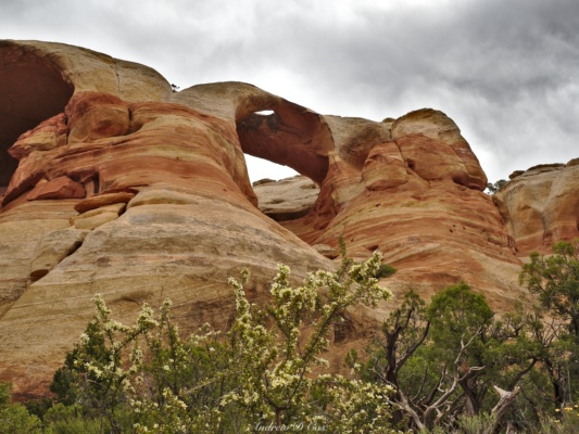Gray skies somewhat diminish the grandeur of these massive arches rattlesnake arches