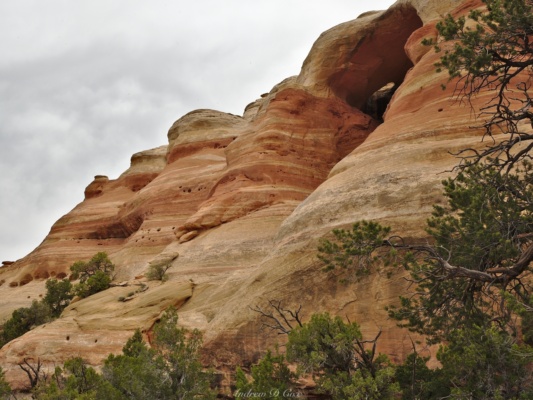 The wind-carved sandstone has smooth, flowing curves rattlesnake arches stone