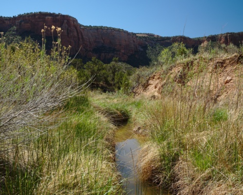 I'm a little surprised to find water in this arid landscape. Too bad it's undrinkable... colorado national monument water