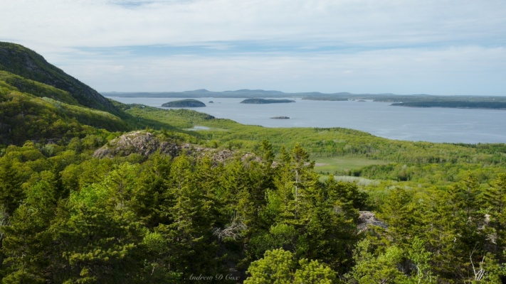 More trees, some mountains, and the coast north of the Beehive acadia day hiking beehive