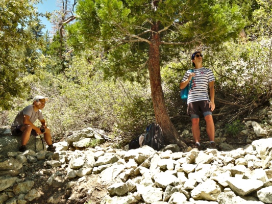 David and Coco relax in the shade during one of our frequent breaks to escape the hot sun before continuing the climb icehouse canyon trail shade