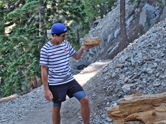 Coco investigates a block of wood - photo credit: David cucamonga trail