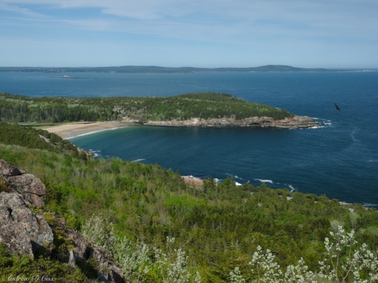 We also have a nice view of Sand Beach acadia day hiking sand beach