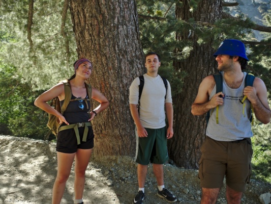 Kim, John, and Sebastian enjoy the shade mount san antonio hiking