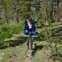 Happy Trails sierra high route meadow
