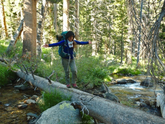 Amanda strides along a fallen tree to cross a creek sierra high route backpacking