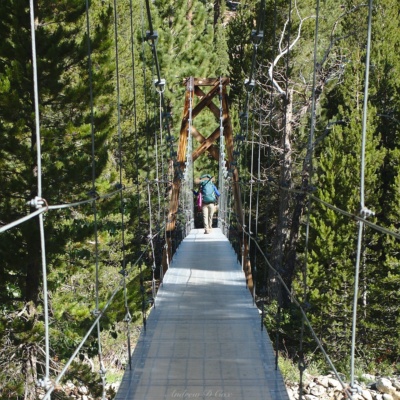 We walk across just to try out the bridge woods creek suspension bridge