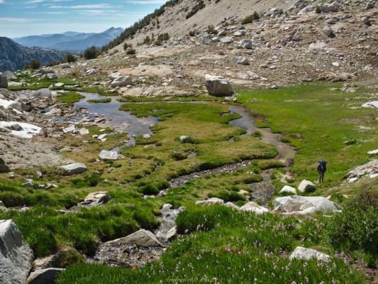 After climbing the talus slopes, we reach a series of grassy benches sierra high route alpine meadow