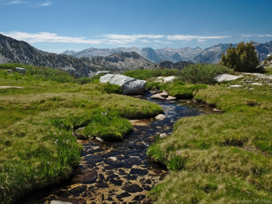 The water is so clear and cold that I don't even bother filtering sierra high route creek meadow