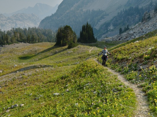 Near the trail junction, we stride through flower-filled meadows teton mountains avalanche divide trail