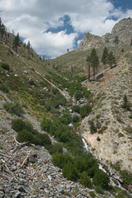 The path frequently disappears in the brush and doesn't waste much time with switchbacks; it's a tough climb! sierra high route baxter pass trail