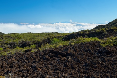 Mauna Kea, one of the volcanoes on the Big Island, peeks through the clouds in the distance. It's not often you get to hike with this kind of heavenly view! haleakala hiking mauna kea