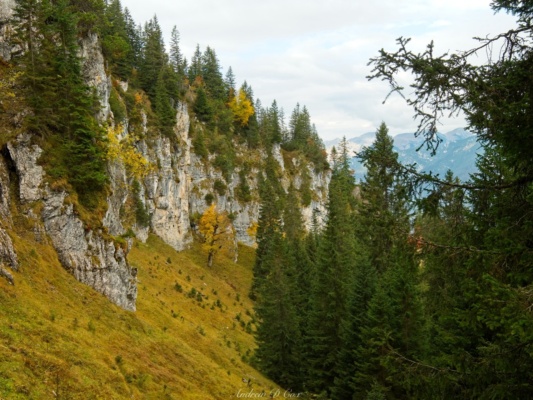 Somehow, the trail should reach the top of these cliffs... kruezeck cliffs