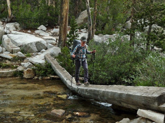 Diane walks along a log that has seen better days... pine creek trail backpacking