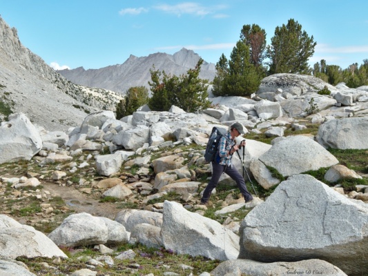 The terrain at the pass consists of scrubby grass and massive rocks pine creek pass