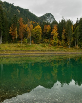 The still waters of this pond reflect the fall foliage and one of several trams strung up the mountainside. alps pond