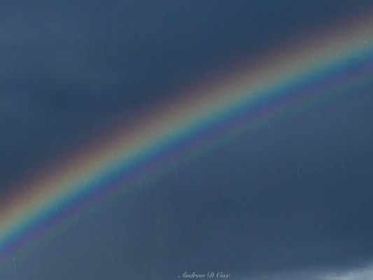 Check out the extra bands of pastel colors past violet; these are apparently caused by wave interference supernumerary rainbow