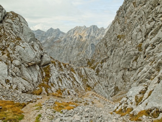 This trail looks epic! alps rindersteig