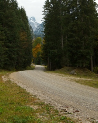 The road/ski path winds through the woods, seemingly toward the distant, snow-covered Zugspitze alps forest road