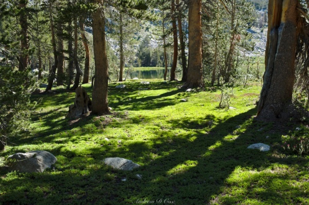 The early morning light casts long shadows through the meadows surrounding one of the State Lakes sierra high route state lake